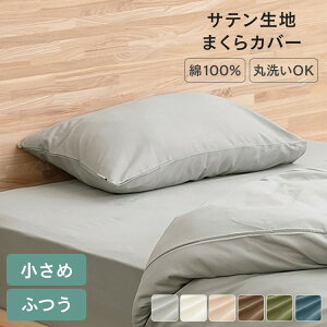 yMizJo[ 100% 35×50cm 43×63cm  k  킢 􂦂 傫  Vv Jo[ ܂ ܂Jo[ 炳  s[P[X s[Jo[ ېOK O