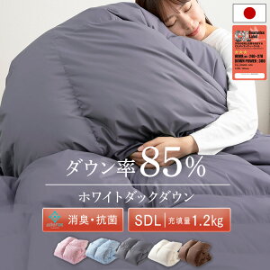 Hѕzc Z~_u |zc zc Hъ|zc ~ ~p HтӂƂ zCg_bN_E85 Q  g LRۉH ԂƂ 1.0kg 120mmȏ 300dpȏ WDD85%