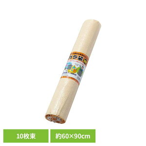 PP�K����10���� GB10�y�̂� �K���� PE�y�̂� �������� �ЊQ ���~ �S�~�� �h�� �䕗 ���Q