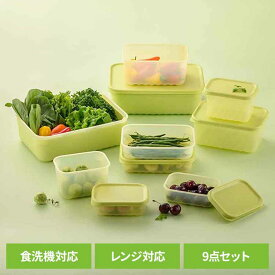 LIV PLUS 保存容器 9点セット グリーン LV-147保存容器 野菜保存 鮮度保持 電子レンジ 食洗機 冷凍 抗菌 セット BPAフリー ベストコ ベストコ