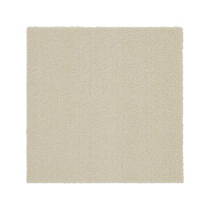 �ƒ�p�^�C���J�[�y�b�g �\�t�g�t�B�[�� 131-40957�^�C���J�[�y�b�g SUMINOE 40×40 �����` �^�C���}�b�g RUGRUG �A�C�{���[ �x�[�W�� ���C�g�O���[�� �O���[ �u���E�� �s���N�yTD�z �y����s�z [260