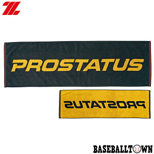 ZETT [bg vXeC^X X|[c^I 34×110cm BTW20 싅