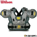 ウイルソン Wilson 野球 硬式審判 チェストプロテクター プロプラチナ NPB仕様 アンパイア WTA3216NP 審判用品 球審 【365日あす楽対応】