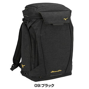 yz 싅 bN l e ^ 46L ~Ymv MIZUNO PRO I[CobNpbN 1FJDB000 obOhJL(B) 싅obO obNpbN bNTbN fCpb