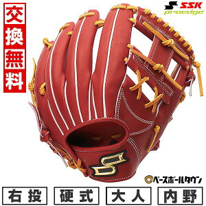 yz 싅 O[u l d SSK GXGXPC dvGbWAh@XhV[Y B TYPE p TCYF5L AKB345 E RuE×^ 2025NNEWf AKB345-4847-L