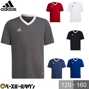 TbJ[ AfB_X adidas Entrada 22 W[W[ MBE20