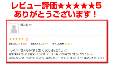 【最大6%OFFクーポン!】【今だけ収納袋へ文字刺繍サービス】ピッチング練習用品少年用バッターくん実戦のストライクゾーンを意識!フィールドフォース野球練習用品投球練習ピッチング練習セールSALEジュニア用