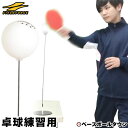 【最大P10倍】【年中無休】最大10%引クーポン 卓球 練習 トレーニング 室内 卓球用スウィングパートナー BTKP-200 フィールドフォース
