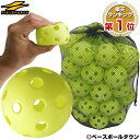 【最大P10倍】最大10%引クーポン 野球 練習 穴あきボール 50個セット 専用バッグ付き 軽い・柔らかい・飛ばない・割れにくい 打撃 バッティング FBB-...