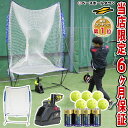 【最大P10倍】最大10%引クーポン ラッピング不可 野球 練習 電池おまけ 全自動バッティングセット エボリューション 高さ調節可能 トスマシン+専用ネット+...