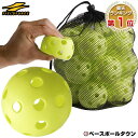 【最大P10倍】最大10%引クーポン 野球 練習 穴あきボール 20個セット 専用バッグ付き 軽い・やわらか・飛ばない・割れにくい 打撃 バッティング FBB-...