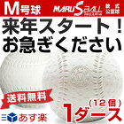 最大12％引クーポン 25％OFF ダイワマルエス 軟式野球ボール M号 一般・中学生向け メジャー 検定球 ダース売り 新公認球 あす楽 クリスマスプレゼントに