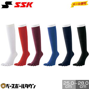싅 \bNX 5{w   ԊF    SSK GXGXPC J[\bNX ⋭ C ⋭ YA1501 y365yΉz