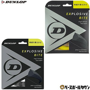 ejX _bv GNXvbVu oCg [ 240M d XgO Kbg DST12011 yVX[p[SALE RakutenX[p[SALE