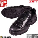 【交換往復送料無料】 野球 審判用品 サイズ交換無料 ZETT ゼット 審判用シューズ DPラスト(3E相当) BSR9665 【365日あす楽対応】