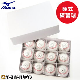 野球 ミズノ MIZUNO 硬式練習球 1ダース売り(12個) 天然皮革 硬式球 硬球 硬式ボール 硬式練習用 中学硬式 高校野球 社会人野球 ダース売り 練習 トレーニング 1BJBH43600 【365日あす楽対応】