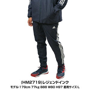 y3Axoׁz NуEChu[J[pc Y AfB_X adidas EChpc M 24/7 WK[pc X|[cEFA EBhpc Opc Y{  h H~p 