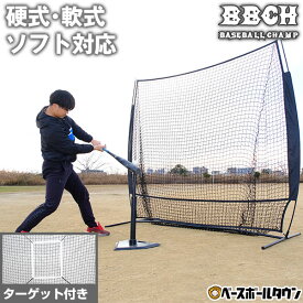 野球 練習 ネット 硬式 軟式M号・J号 ソフトボール対応 2.1m×2.1m 大型 バッティングネット 投球ターゲット＆専用収納バッグ付き 打撃 バッティング 野球ネット 硬式野球 軟式野球 ポータブル 携帯 自宅 トレーニング BN22