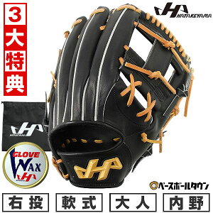 【3大特典アリ】 野球 グローブ 軟式 大人 右投げ ハタケヤマ TH-G46X 内野手用 11.3インチ ブラック 型付け可能(G) 草野球 キャッチボール 【365日あす楽対応】