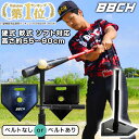 【選べる2タイプ】 野球 練習 バッティングティースタンド 硬式 軟式M号・J号 ソフトボール対応 高さ約55〜90cm 置きティー ティーバッティング 打撃 練習 トレーニング 自宅 練習器具 練習グッズ 素振り 硬式野球 軟式野球 硬球 軟球 家 上達 特訓 BBCH