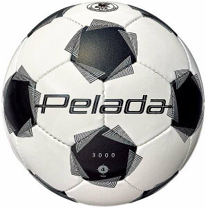 e molten TbJ[{[ y[_ 3000 4 苅 F4K3000