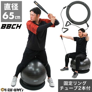 yr[6ۏ؁z oX{[ 65cm Œ胊OEg[jO`[u2{ECt 싅 K obeBO Ō fU tH[  P ̊ RAg[jO p