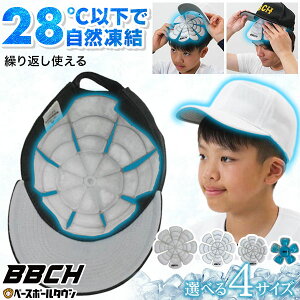 X[p[N[LbvC PCM/CMCf Xqp ۗ p ACXpbN N[pbh ėp MǑ΍ AEghA 싅 ʋ ʊw oR X|[c ϐ wbg Lbv WF^Cv 