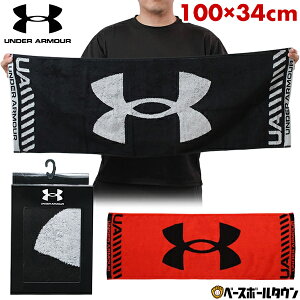 y3Axoׁz 싅 tFCX^I Y A_[A[}[ ^I 34×100cm 100 X|[cp^I { 1364238