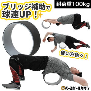 ubWT|[gO a33cm×13cm×7.5mm ω׏d100kg 싅 K g[jO X|[c Xgb` s Ҋ֐  sb`O  w w  KO KzC[ _C