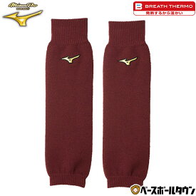 【年中無休】 【エンジのみ】ブレスサーモ 野球 レッグウォーマー メンズ ミズノプロ MIZUNO PRO レッグウォーマー 男女兼用 柔らかい 軽量 スポーツ対応 黒 紺 青 赤 エンジ 冬用 防寒グッズレッグカバー レッグゲイター 12JYBU01