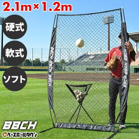 野球 練習 投球保護用ネット 硬式・軟式・ソフトボール対応 防球ネット 防護ネット 保護ネット 野球ネット 練習ネット バッティングピッチャー ピッチング 保護ネット 壁 トレーニング 器具 グッズ 自宅でできる 上達 特訓 トスネット 手投げ 家 BBCH バッグ刺繍可(B)