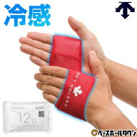 デサント DESCENTE アイシング クーリング手袋 適温蓄冷材付き 両手用(2個入) コアクーラー TEKIONグロー…