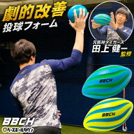 【レビューで6ヶ月保証】 野球 練習 スローイングフォームトレーニングボール ソフト/ハードタイプ 投球…