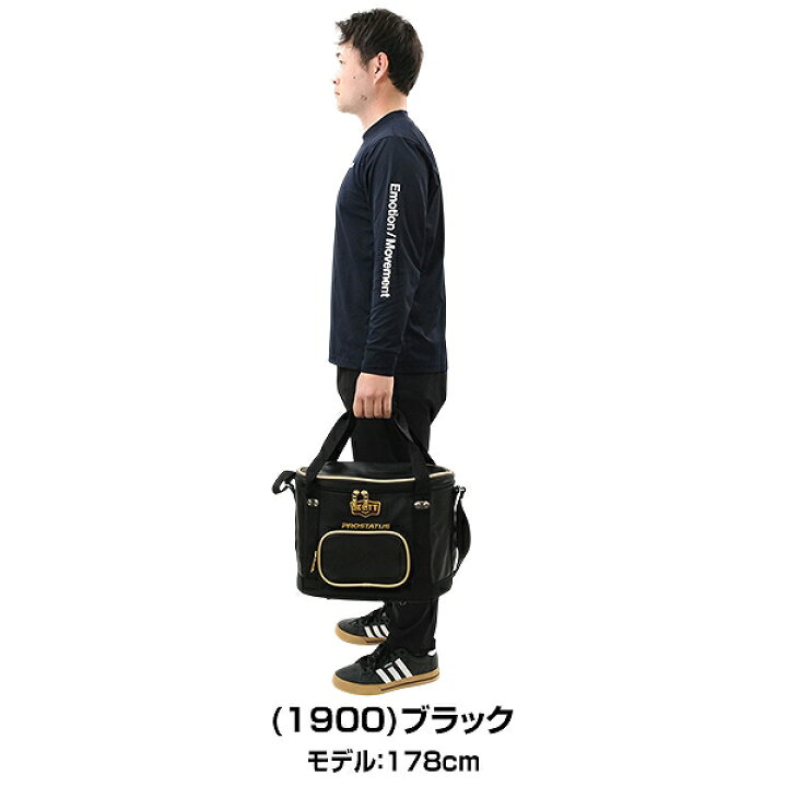 楽天市場】野球 ボールケース ZETT ゼット プロステイタス 硬式・軟式5 