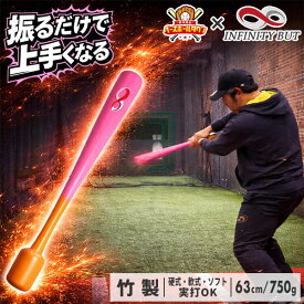 野球 インフィニティバット・ミニ 木製バット 63cm 750g平均 硬式・軟式・ソフトボール対応 トス・ティー打撃のみ トレーニングバット 竹バット 打撃 バッティング インサイドアウト 素振り 手打ち 下半身 特訓 【9/15(火)発送予定 予約販売】