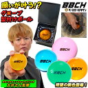 【走れ大井チャンネル監修】 願いが叶う!〜伝説のグローブ型付け専用ボール グラブポケット成型ボール 直径約7.6cm/10…