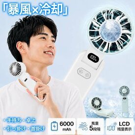 暴風×冷却 ハンディファン 冷却プレート付き 強力送風 6000mAh ハンディ扇風機 4WAY 首掛け 卓上 手持ち LCD残量表示 5段階風量 Type-C充電 最大16時間 高速送風 軽量 折りたたみ 暑さ対策 熱中症対策 通勤 通学 アウトドア スポーツ観戦 K12 楽天スーパーSALE