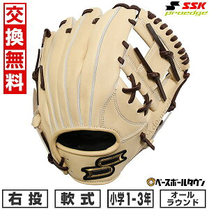 yz 싅 O[u SSK GXGXPC NvGbWAh@Xh-B TYPE- I[Ehp O[u Ep TCYFS 1N 2N 3N L×uE AJB224 ^