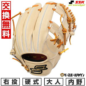 yz 싅 O[u l d SSK GXGXPC dvGbWAh@XhV[Y B TYPE p TCYF5L AKB345 E L×^ 2025NNEWf AKB345-1247-L 