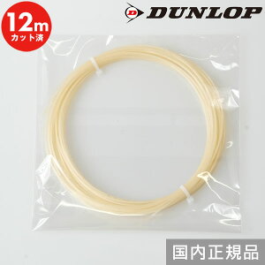 Ki dejX _bv ACRjbN Xs[hKbg 1.30mm 12MJbgi ejX iCXgO }`tBg P mpbP[W XgOX { DST32021 y365