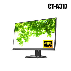 �h�ƃJ���� IO�f�[�^�� 4K�Ή� 31.5�^���C�h �J���[�t�����j�^ �iHDMI/VGA�ڑ���p�j�yCT-A317�z