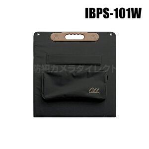 yIBPS-101Wz|[^u\[[pl100W isEԕisj