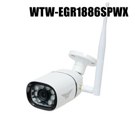 【WTW-EGR1886SPWX】 300万画素 機器間Wi-Fi対応IPネットワークシリーズ 屋外仕様 防犯灯カメラ（代引不可・返品不可）