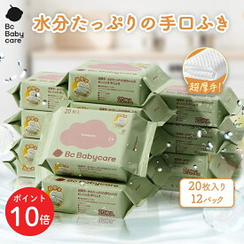 ＼P10倍期間限定4日20:00-11日1:59／【公式】Babycare 手口ふき 水99.9％ コンパクト 外出 20枚×12個 ウェットティッシュ おしりふき 手口拭き 赤ちゃん 手くちふき ベビー ベビー用 おしりふき コンパクト 出産祝い 厚手 携帯便利 肌にやさしい うるおい 防災グッズ