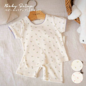 yvCX3190~1595~zyz؍xr[ ZbgAbv Cherry set up by 1gram ؍q  ㉺Zbg xr[  6 1 2 gbvX {gX SSsale