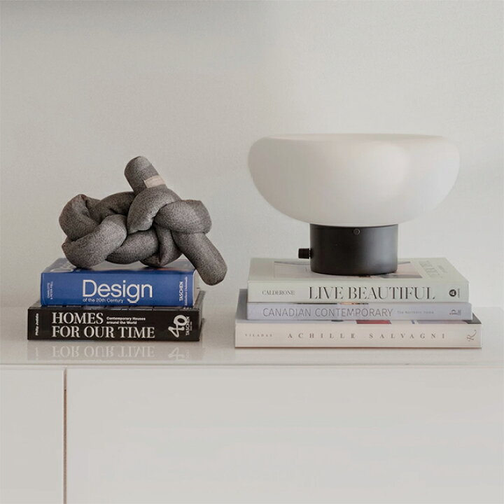 可愛い 面白い 犬のおもちゃ 環境に優しい生地 宇宙シリーズペットのおもちゃ 犬用おもちゃ ペット用品 噛むおもちゃ 犬おもちゃ 音声付き