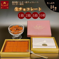 【 最高級ベルギーチョコ使用生】チョコ 24個入り 【1箱】【2箱】【5箱】【10箱】 ホワイトデー 2026 人…