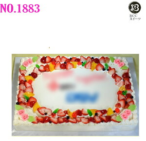 傫 P[L ` 49cm×32cm 56l No,1883 N[ EGfBOP[L 񎟉 I[_[ EGfCO I[_[ 傫P[L p[eB[  aP[L o[Xf[P[L 