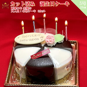 aP[L 5 JbgP[L6 ト[OgƃUbnge / o[Xf[P[L 15cm t[cP[L   hV̓ y a o[Xf[ LO P[L v[g XC