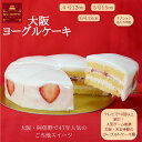 TVで紹介されました「ラヴィット！」大阪ヨーグルトケーキ4号 5号 6号 【注文時の選択肢でノーマルを選んだ場合は名入…